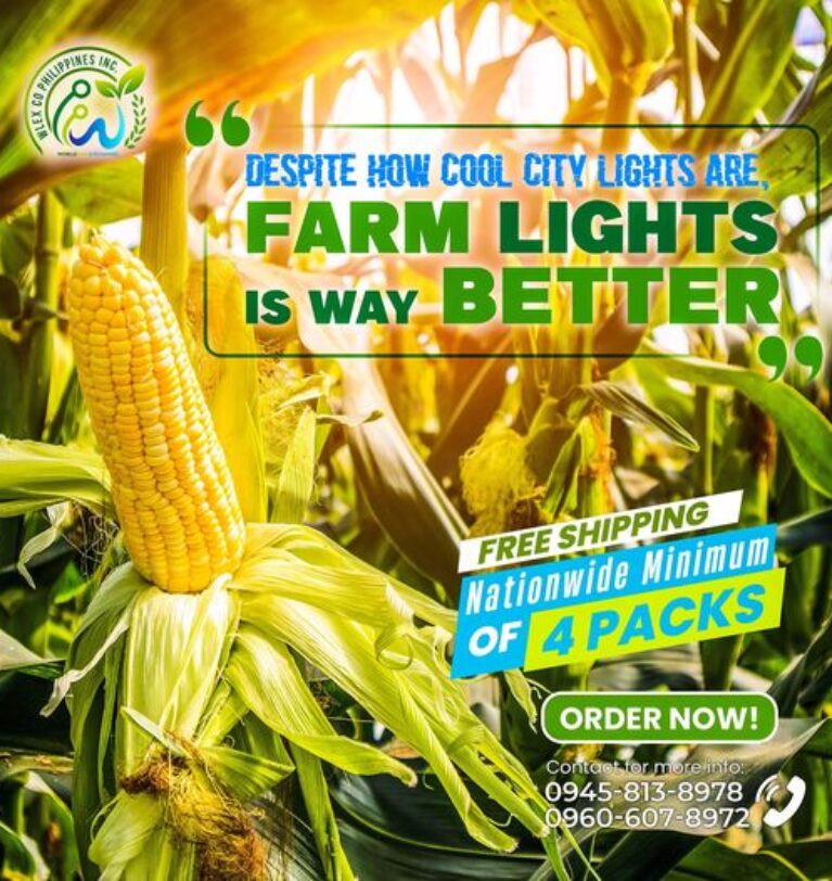 Why Farm Lights Outshine City Lights: Embracing the Tranquility of Rural Illumination