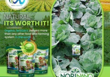 Norinano Plus: A Value Proposition for Tomorrow’s Agriculture