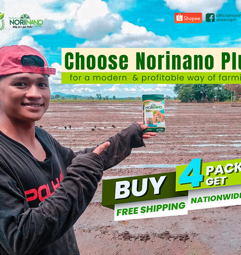 Value Proposition of Norinano Plus to Filipino Farmers