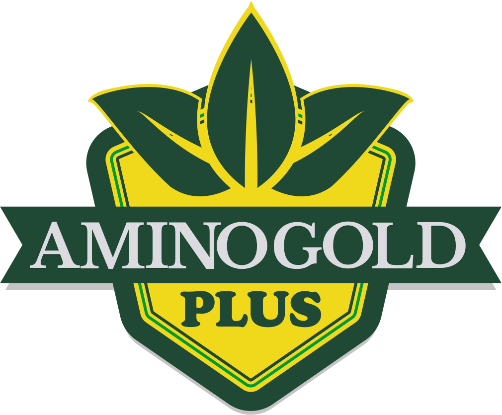 Amino-Gold-Plus-Logo.png